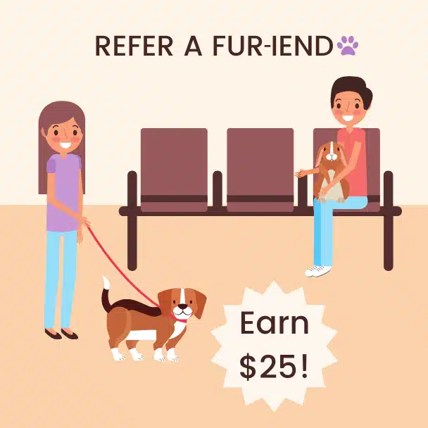 Refer-a-Fur-iend-Graphic Refer a fur-iend graphic
